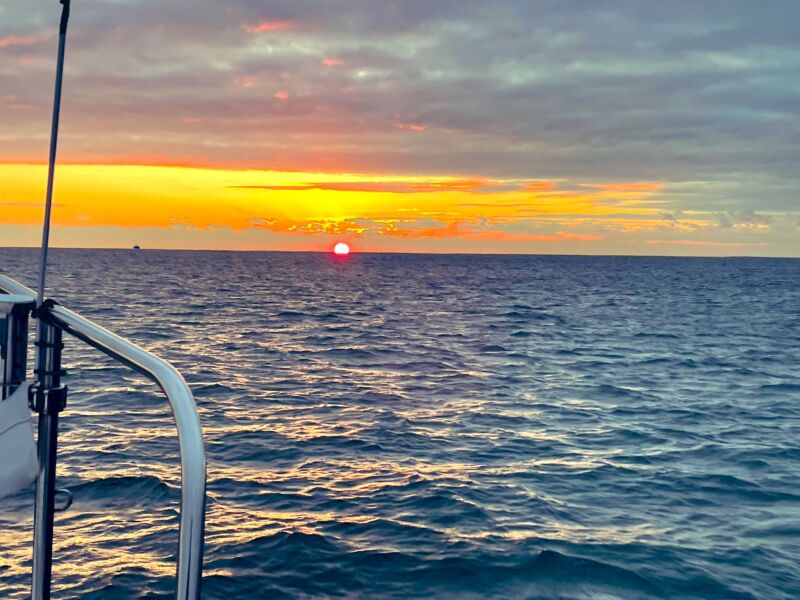 Image for the Tweet beginning: 本日は本当に厳しかった...🥺
ベイトはもりもりなのに、なかなか口を使ってくれないDAYでしたね💦ポツポツ釣れるも単発ばかり...それでも皆さん最後まで頑張ってくれました！
お疲れ様でした！
ベイトはもりもりでフックに掛かってしまう場面もありました、流れが変わって爆釣になるのを乞うご期待😎 